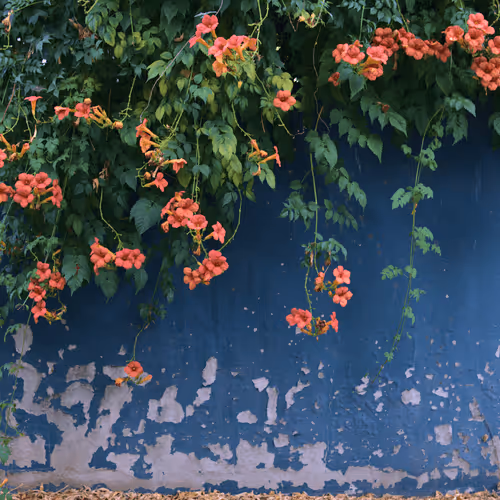 Item #63469761567061717341732170854689072472341875368113613158341509131555206856705 Media