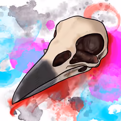 raven skull