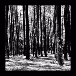 78926493058180902224951420418338520494143290950102848006872373400141809319937