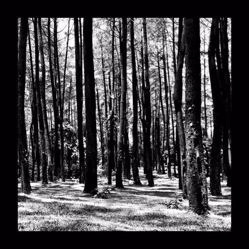 Item #78926493058180902224951420418338520494143290950102848006872373400141809319937 Media