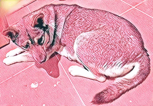 Item #74122138759525378795667626270866148487737655975912799548892276458456822579201 Media