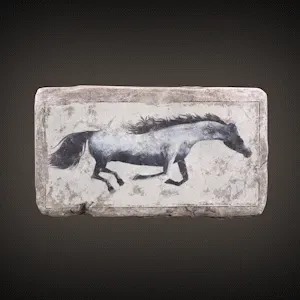 Item #25272857426570335054852562823676508602867186036386023390089810829925177884673 Media