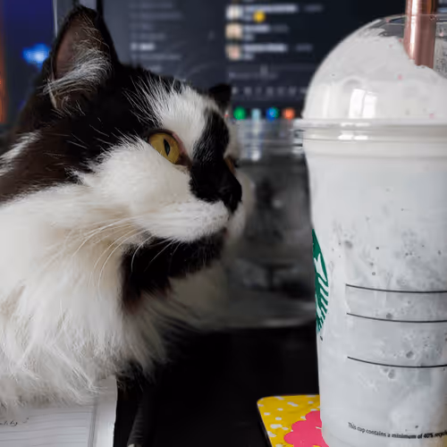 Item #13161020314009032005485822086301964352885579695205061807387255173981117874177 Media