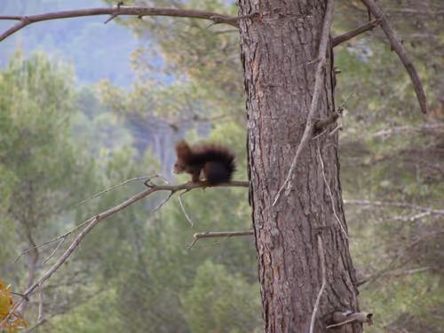 Item #7967281033894542222055828877453032867342209807388350993583448354100311228417 Media