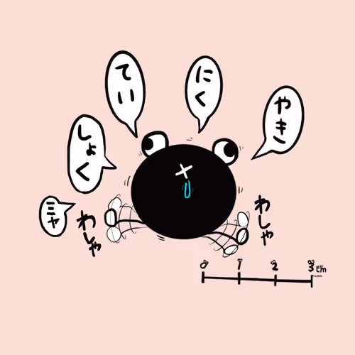 Item #66877915986794131049348981008339756075865682734248442796299537591689296216065 Media