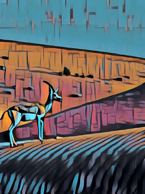 Item #36782780807699903135038144501557320909410292895804866127374726078716912336897 Media