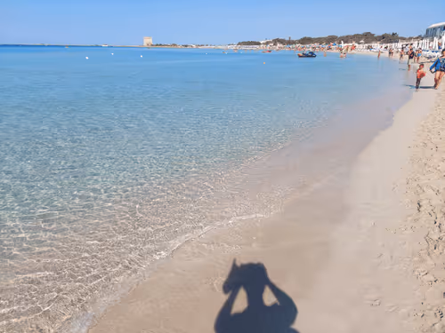 43505702085321246701285015339688837487321998718285252344027785129255577321473