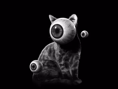 Cat-3Eye