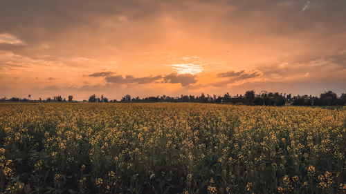 Item #49516525428758043245810663159402174183358990985424354833488005501244844015617 Media