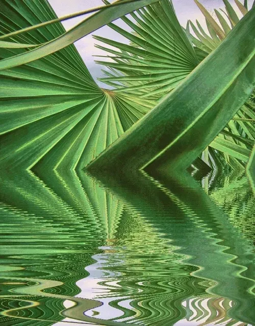 Item #33273431064062745158281459223994481396408298461003960329838769756903206551557 Media