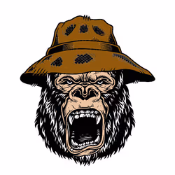 69431971576743287198636060643176496045481255580707431388822704648111395962881