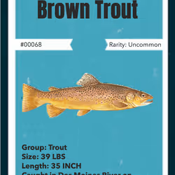 43502264269384842523243150070095810631836830099831581701628992016432618274817