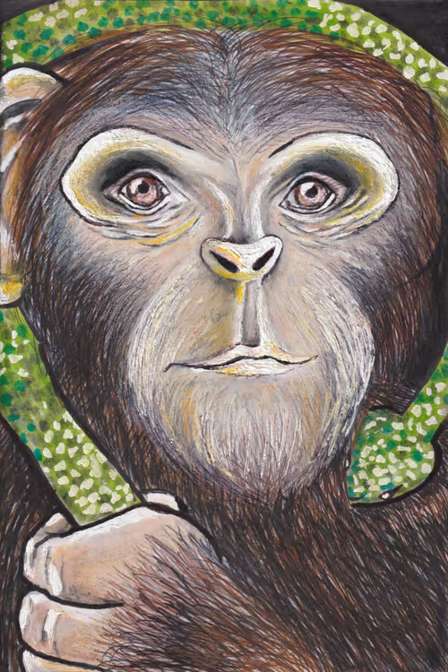 Item #8947241943540210738634518693354375741387579449643094936567020376416621428737 Media