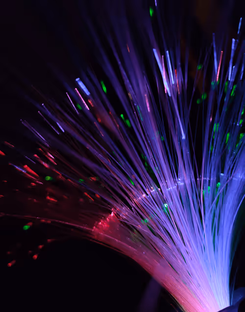 Item #79471668983849401010678929214274822036576912906480210683257668136882617188353 Media