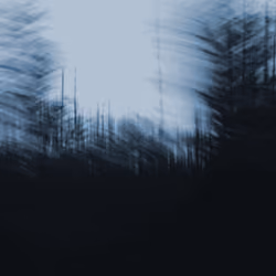 The Arctic circle #4