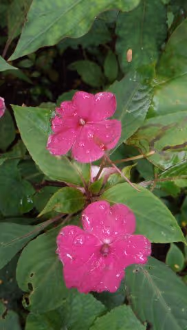 Untitled Collection #315003472