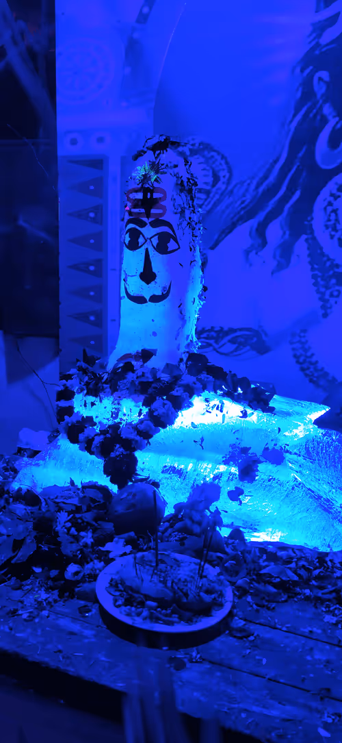 Item #12482093472768592147298085303644852702498619296241180501750779882340463149057 Media