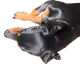74388183107571848256633446996010033662379072698002169646249461033363667156993