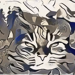 The Abstract Cat