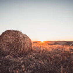 Haybale at Sunset