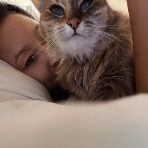 Untitled Collection #52120005