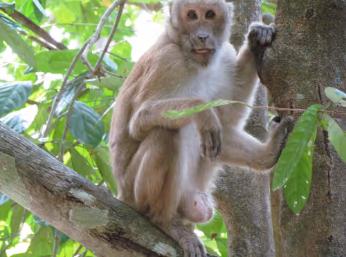 Item #19694953450994535055796596826502944982455978775333522112985953714872900386821 Media