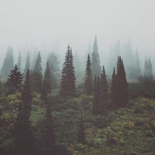 75876001951447921073082356923421999295074868051652655122128443411116471615489