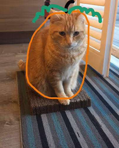 Untitled Collection #19499501