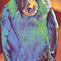 bird etherium