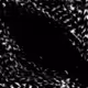 74915898173647021224681109468221940403290696247062530692810481098078700961793
