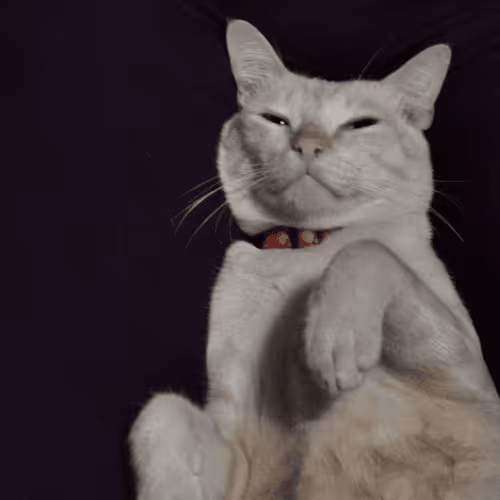 Item #45172585335081813343644153314495358007196078945782785289910377741381661622273 Media