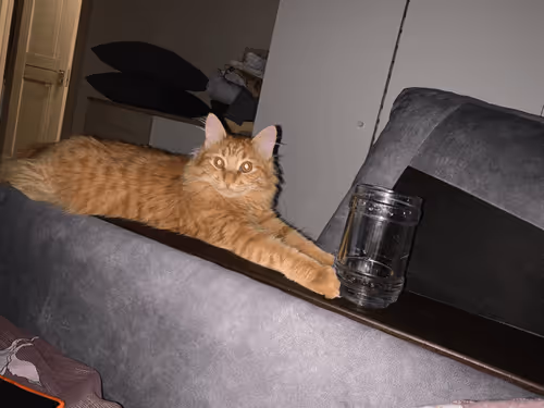 Item #42039913205685825126284801722072857085245062817790218601187825234173539385345 Media