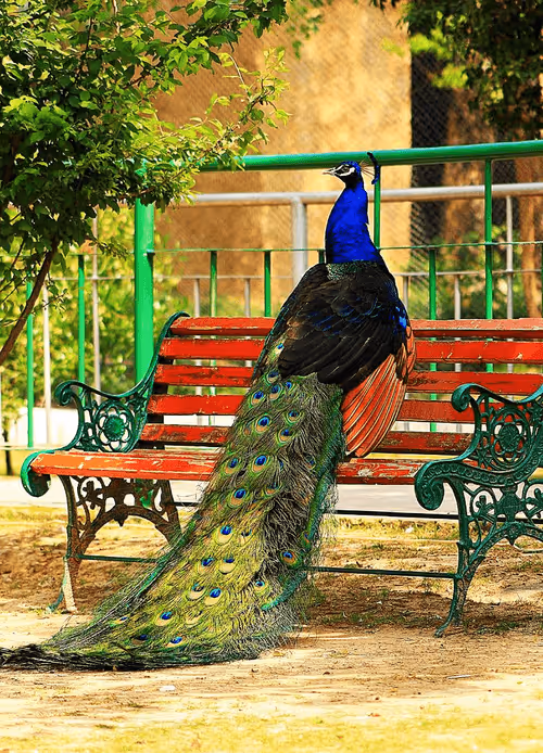 Item #81039049813216597257953829520223769972049979763513540310904561870465151270913 Media