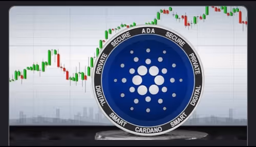 Item #97050529050872519917719523490065508166505393024151807497328553129978653310996 Media