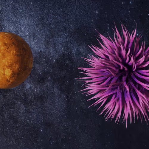 Item #42393290157002412892516253349562377283191383970245594742429284558862544797697 Media