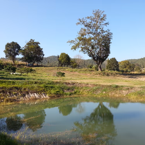 Untitled Collection #28424147