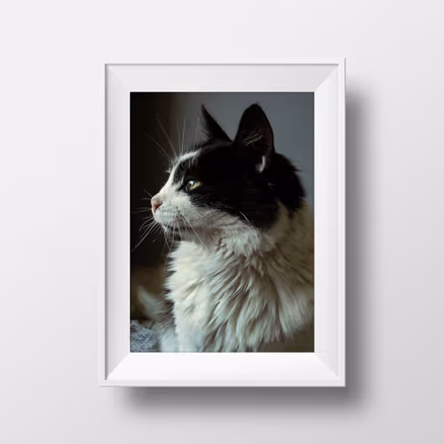 Item #11740799061752435596264574638885618711894056306747773100283827719269913722881 Media