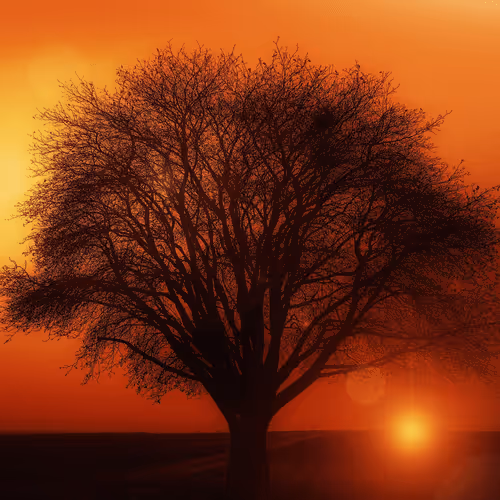 Item #8874138315545109850187425440264752860309614107716605274840158628292128145423 Media