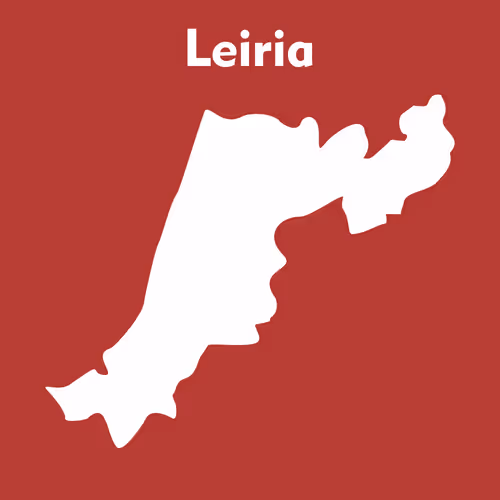 Item #53594356007989535792850162458107501771688790401863407050360661574290220515333 Media