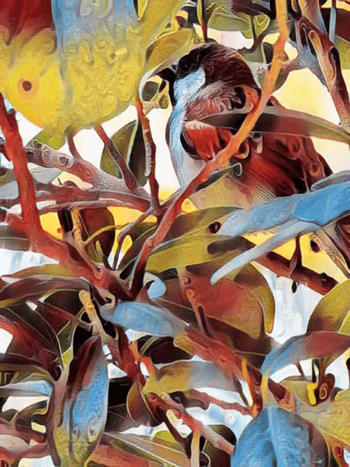 Item #36782780807699903135038144501557320909410292895804866127374726174374423953409 Media