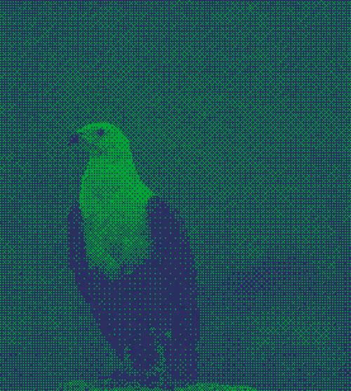 Item #11276162529628641556553056529614973332754405277106184420845744961949521674241 Media