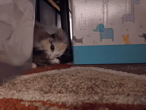 Item #103823190638075684652461829267274249161173063347509023641376403480026265157633 Media