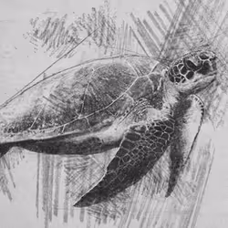 11276162529628641556553056529614973332754405277106184420845745121378707701761