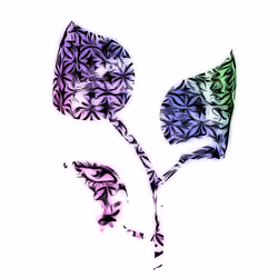 Humonmode Amara (16)