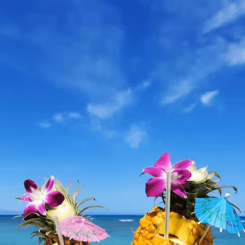 Item #56322661583650327241335368930056989154338103014947234537333187358732954107914 Media