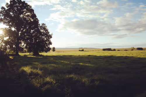 Item #25048395052866519615583306303043483840076282884633851044387431754262479110145 Media