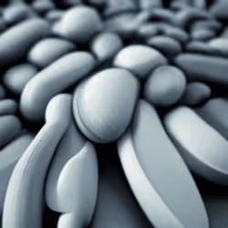 56681820197342161819819372651831042447314914966245969648562741720910762344449