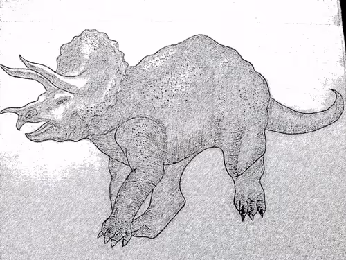 Item #69768521249374547599232464662251596041714941598497209320336037491747365847041 Media