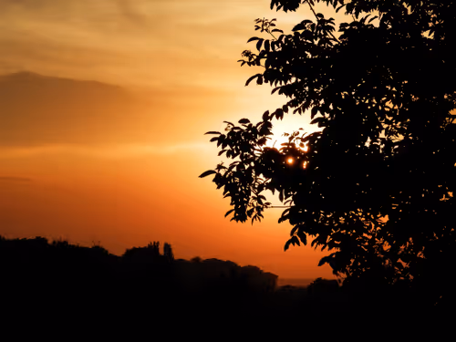 Item #55297223282317197917185791022658401724226762533250968792427961310233675956225 Media