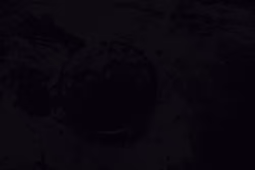 99206175731752603969632246751396839615347692654100145142238794217031200669697